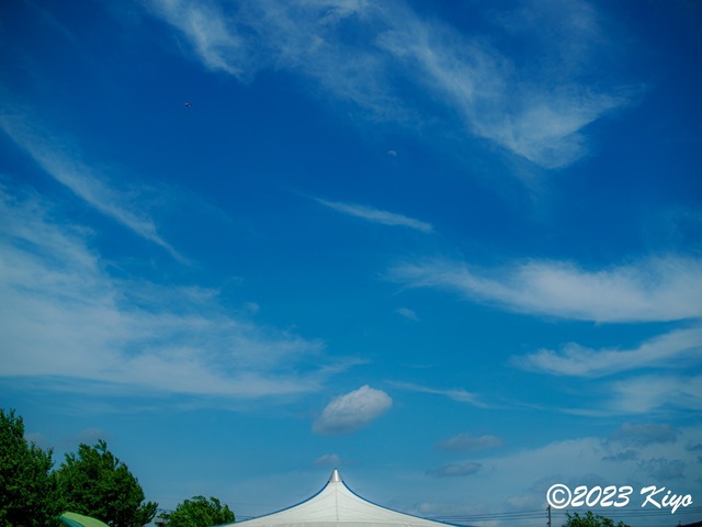 O4290292-ORF_DxO_DeepPRIMEXD_CameraRAW2_signed.jpg