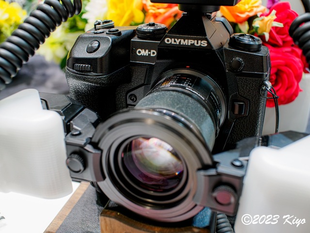 O5200623-ORF_DxO_DeepPRIMEXD_CameraRAW2_signed.jpg