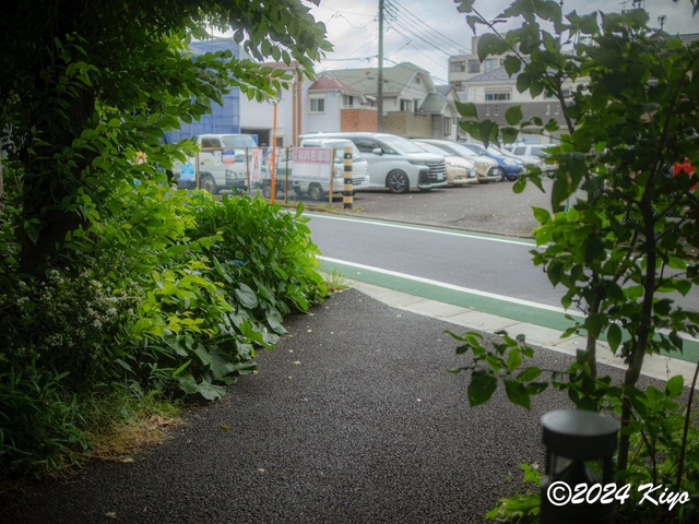 O5281882-ORF_DxO_DeepPRIMEXD_CameraRAW2_signed.jpg