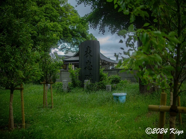 O5281981-ORF_DxO_DeepPRIMEXD_CameraRAW2_signed.jpg