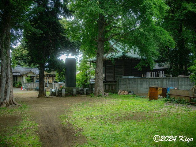 O5281982-ORF_DxO_DeepPRIMEXD_CameraRAW2_signed.jpg