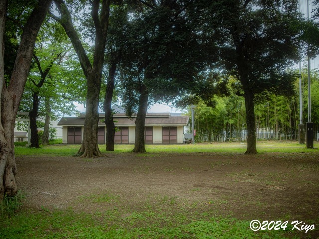 O5281983-ORF_DxO_DeepPRIMEXD_CameraRAW2_signed.jpg