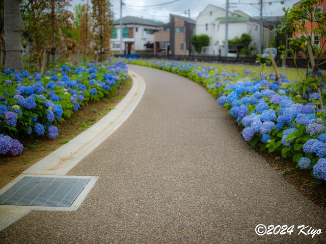 O5282021-ORF_DxO_DeepPRIMEXD_CameraRAW2_signed.jpg