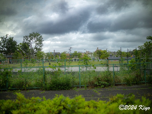 O5282037-ORF_DxO_DeepPRIMEXD_CameraRAW2_signed.jpg