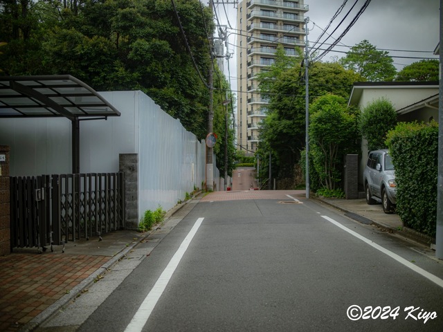 O5282051-ORF_DxO_DeepPRIMEXD_CameraRAW2_signed.jpg