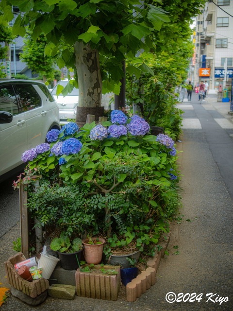 O6092125-ORF_DxO_DeepPRIMEXD_CameraRAW2_signed.jpg