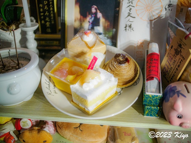 O6110578_CameraRAW2_signed.jpg