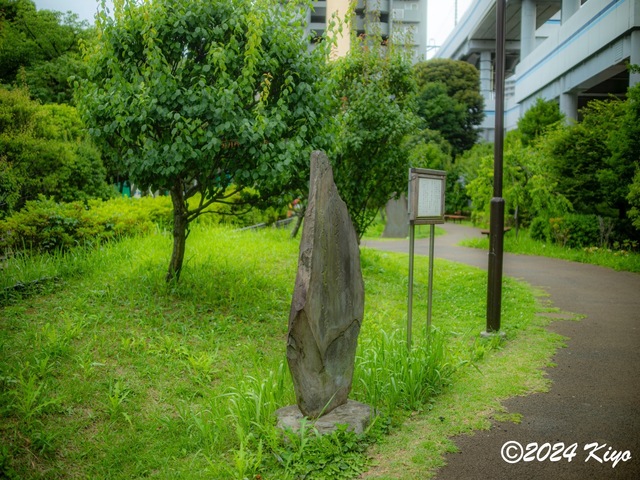 O6152225-ORF_DxO_DeepPRIMEXD_CameraRAW2_signed.jpg