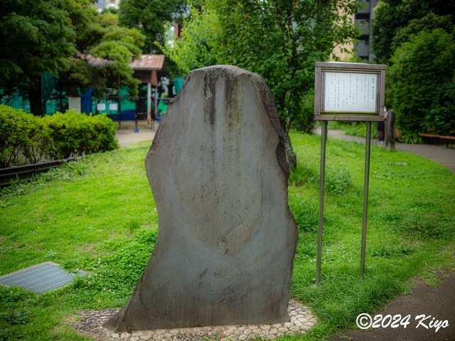 O6152228-ORF_DxO_DeepPRIMEXD_CameraRAW2_signed.jpg