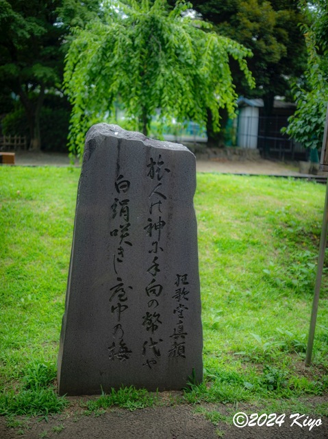 O6152230-ORF_DxO_DeepPRIMEXD_CameraRAW2_signed.jpg