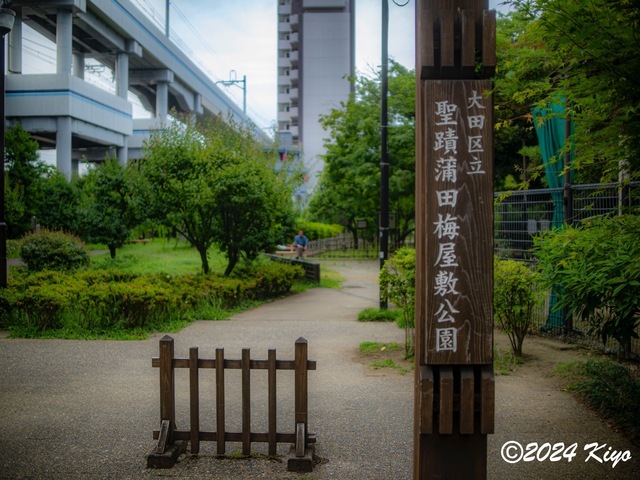 O6152233-ORF_DxO_DeepPRIMEXD_CameraRAW2_signed.jpg