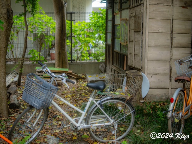 O6152249-ORF_DxO_DeepPRIMEXD_CameraRAW2_signed.jpg
