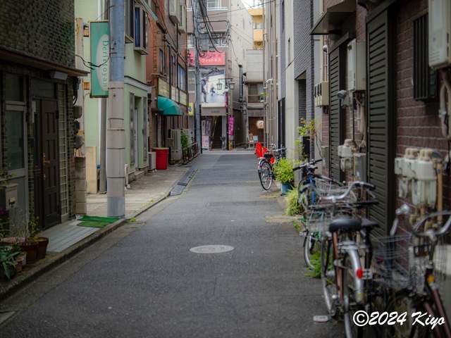 O6152252-ORF_DxO_DeepPRIMEXD_CameraRAW2_signed.jpg