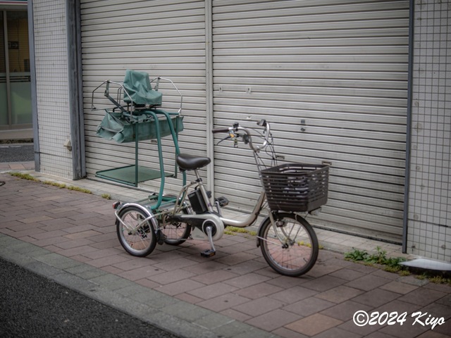 O6152260-ORF_DxO_DeepPRIMEXD_CameraRAW2_signed.jpg