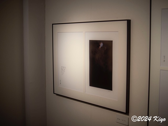 O6152282-ORF_DxO_DeepPRIMEXD_CameraRAW2_signed.jpg