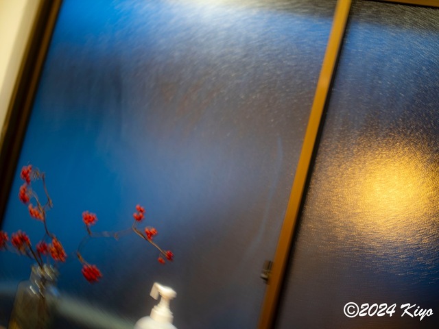 O6152286-ORF_DxO_DeepPRIMEXD_CameraRAW2_signed.jpg