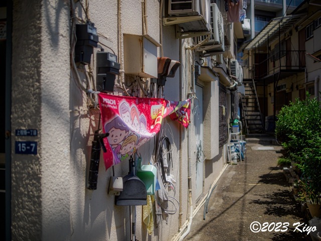 O6170682-ORF_DxO_DeepPRIMEXD_CameraRAW2_signed.jpg