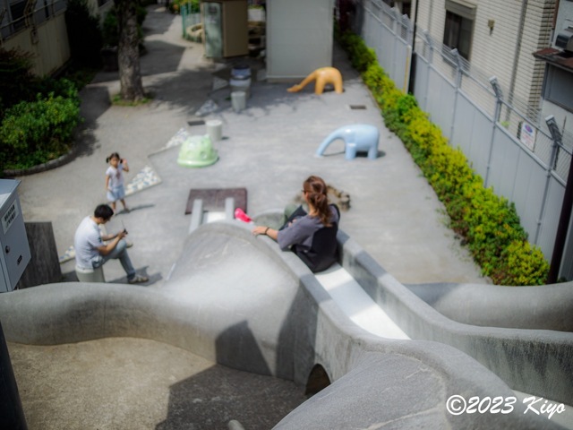 O6241116-ORF_DxO_DeepPRIMEXD_CameraRAW2_signed.jpg