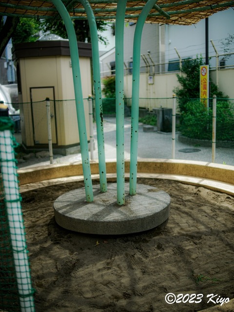 O6241128-ORF_DxO_DeepPRIMEXD_CameraRAW2_signed.jpg