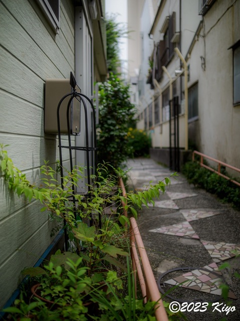 O6241130-ORF_DxO_DeepPRIMEXD_CameraRAW2_signed.jpg