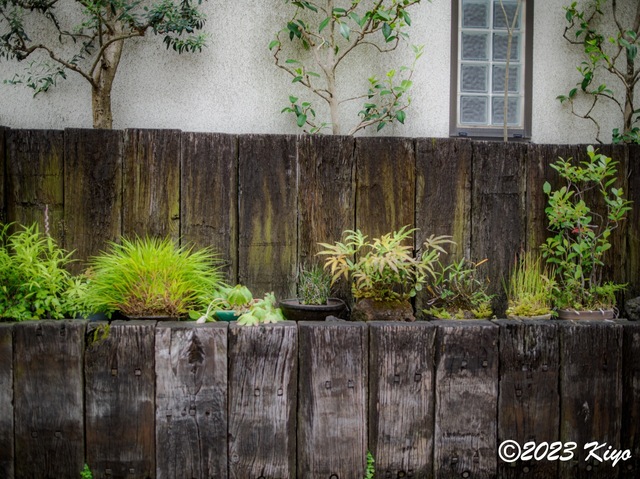 O6241132-ORF_DxO_DeepPRIMEXD_CameraRAW2_signed.jpg