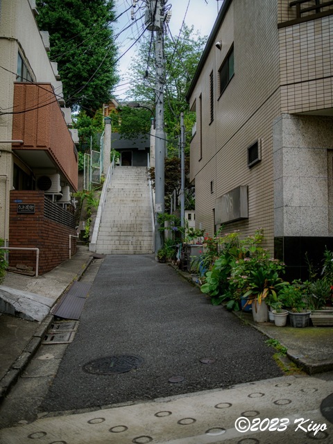 O6241154-ORF_DxO_DeepPRIMEXD_CameraRAW2_signed.jpg