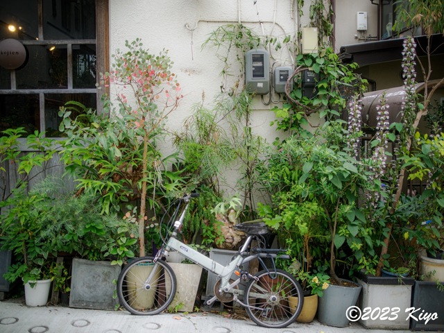 O6241158-ORF_DxO_DeepPRIMEXD_CameraRAW2_signed.jpg