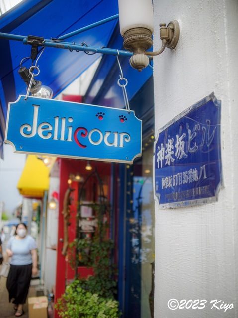 O6241165-ORF_DxO_DeepPRIMEXD_CameraRAW2_signed.jpg