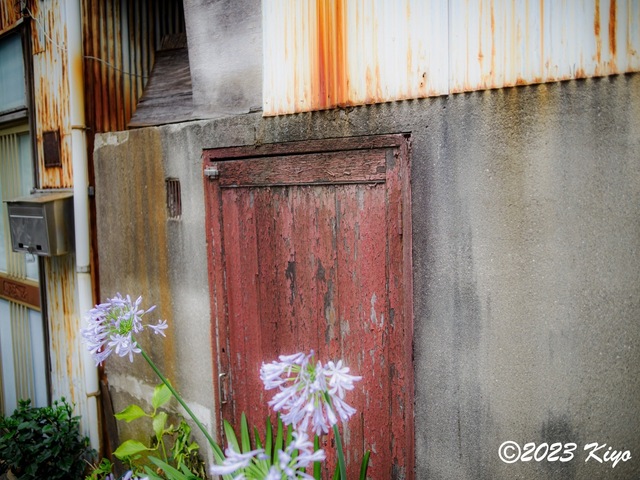 O6241176-ORF_DxO_DeepPRIMEXD_CameraRAW2_signed.jpg