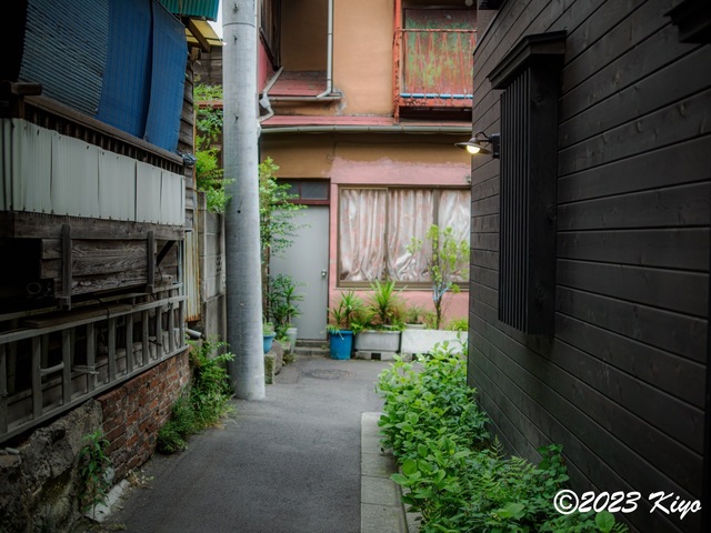 O6241179-ORF_DxO_DeepPRIMEXD_CameraRAW2_signed.jpg
