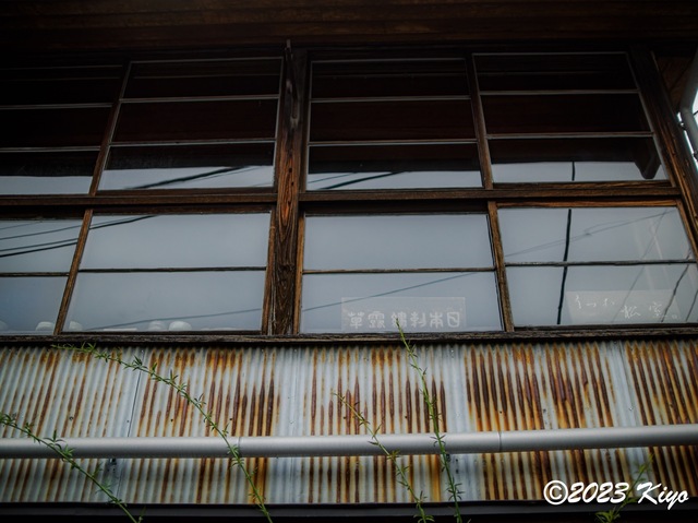 O6241189-ORF_DxO_DeepPRIMEXD_CameraRAW2_signed.jpg
