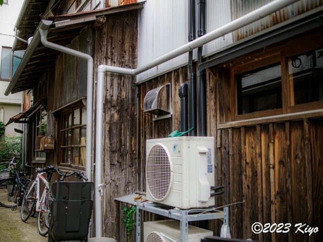 O6241193-ORF_DxO_DeepPRIMEXD_CameraRAW2_signed.jpg