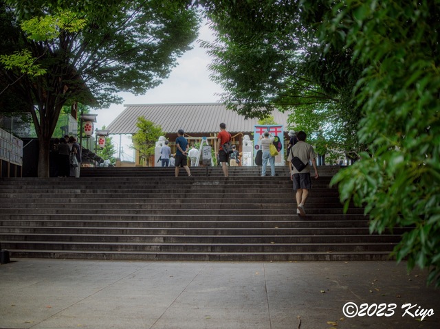 O6241222-ORF_DxO_DeepPRIMEXD_CameraRAW2_signed.jpg