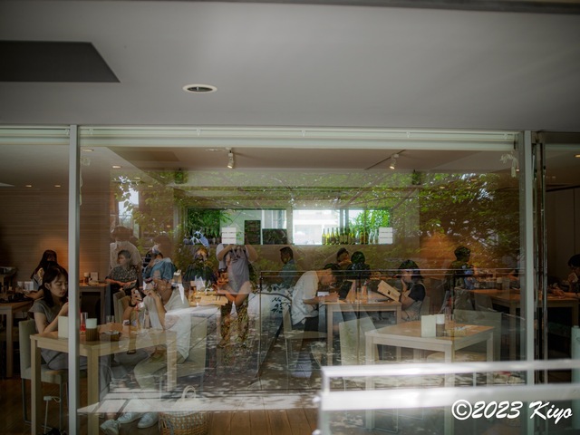 O6241224-ORF_DxO_DeepPRIMEXD_CameraRAW2_signed.jpg