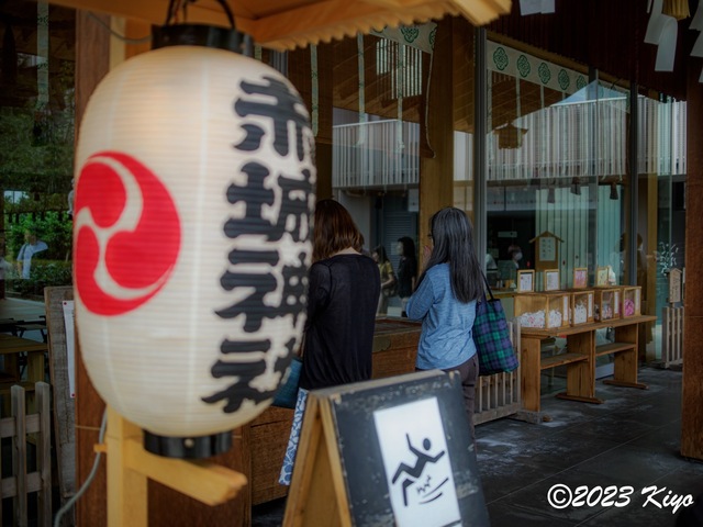 O6241232-ORF_DxO_DeepPRIMEXD_CameraRAW2_signed.jpg