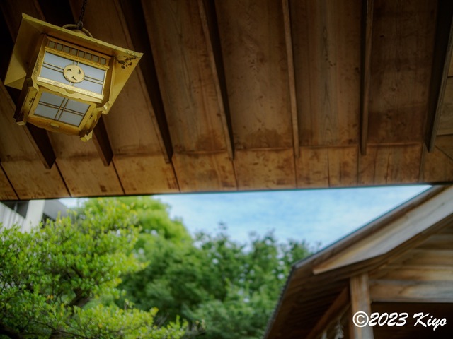 O6241234-ORF_DxO_DeepPRIMEXD_CameraRAW2_signed.jpg