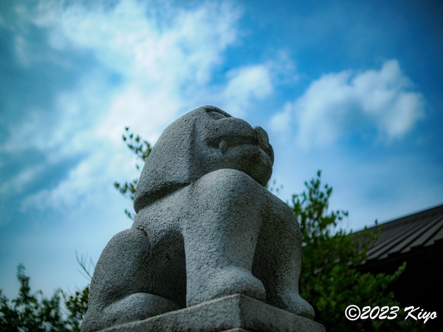 O6241238-ORF_DxO_DeepPRIMEXD_CameraRAW2_signed.jpg
