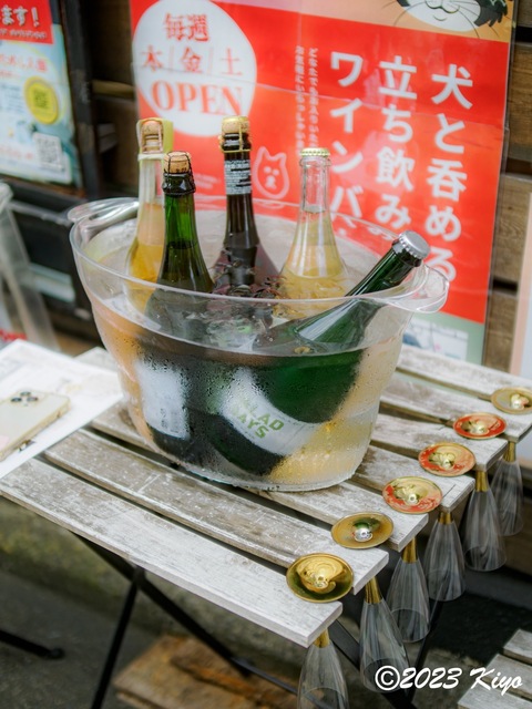 O6241245-ORF_DxO_DeepPRIMEXD_CameraRAW2_signed.jpg