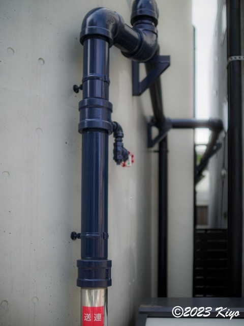 O6241256-ORF_DxO_DeepPRIMEXD_CameraRAW2_signed.jpg