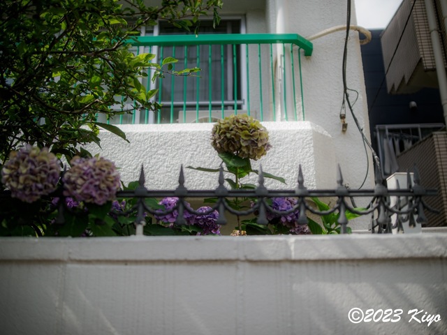 O6241266-ORF_DxO_DeepPRIMEXD_CameraRAW2_signed.jpg
