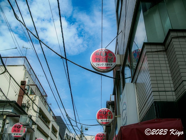 O6241272-ORF_DxO_DeepPRIMEXD_CameraRAW2_signed.jpg