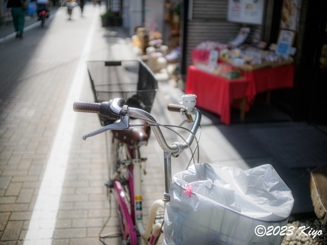 O6241292-ORF_DxO_DeepPRIMEXD_CameraRAW2_signed.jpg