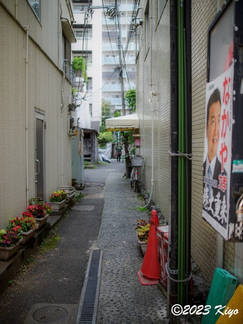 O6241293-ORF_DxO_DeepPRIMEXD_CameraRAW2_signed.jpg