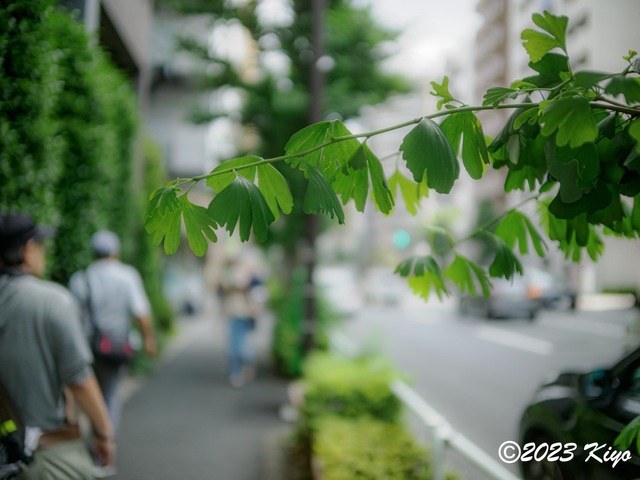 O6241303-ORF_DxO_DeepPRIMEXD_CameraRAW2_signed.jpg