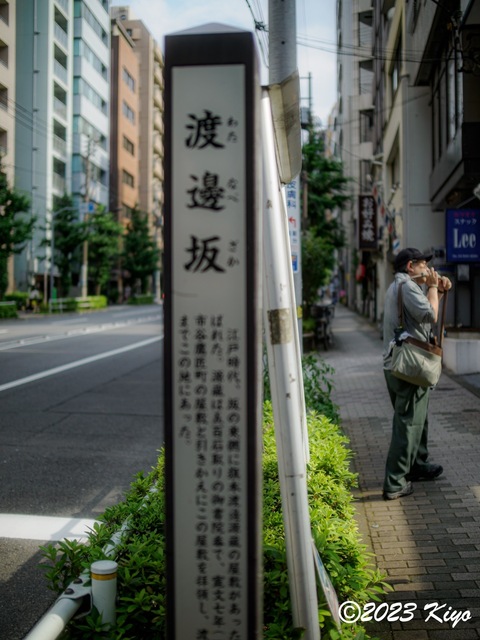 O6241306-ORF_DxO_DeepPRIMEXD_CameraRAW2_signed.jpg