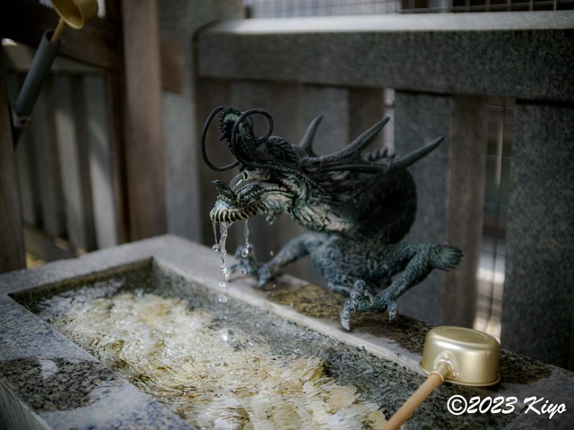 O6241311-ORF_DxO_DeepPRIMEXD_CameraRAW2_signed.jpg
