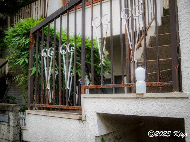 O6241333-ORF_DxO_DeepPRIMEXD_CameraRAW2_signed.jpg