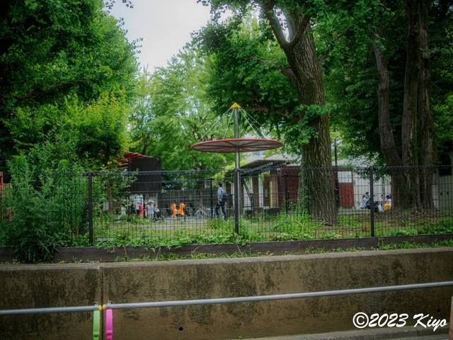 O6241334-ORF_DxO_DeepPRIMEXD_CameraRAW2_signed.jpg