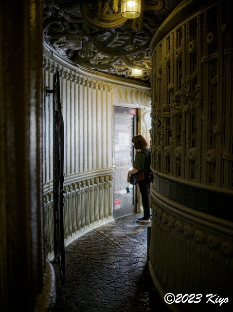 O6241358-ORF_DxO_DeepPRIMEXD_CameraRAW2_signed.jpg