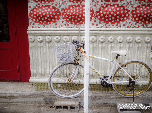O6241377-ORF_DxO_DeepPRIMEXD_CameraRAW2_signed.jpg